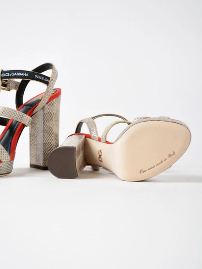 Shop Dolce & Gabbana Keira Sandals In Roccia/rosso