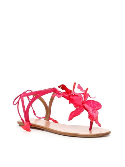 Shop Aquazzura Flora Sandals In Paradise Pink