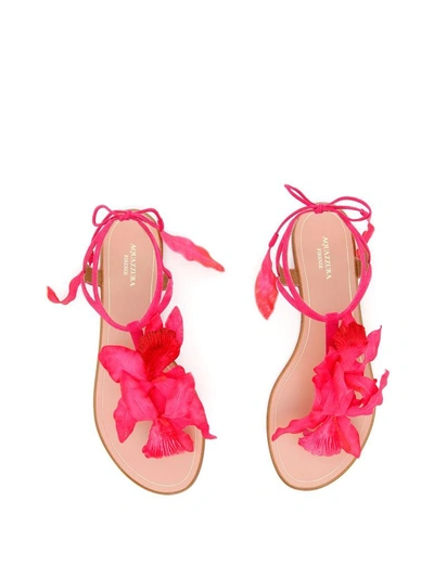 Shop Aquazzura Flora Sandals In Paradise Pink