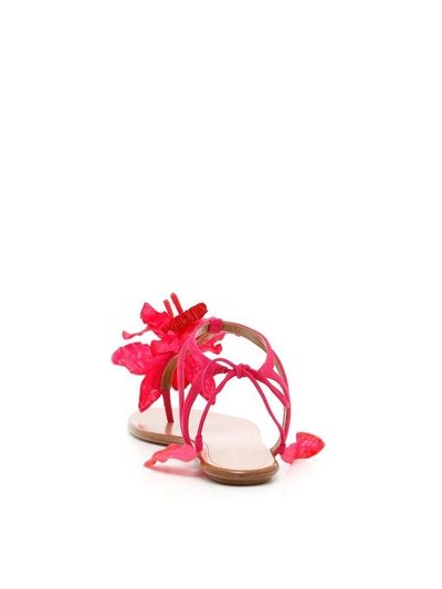 Shop Aquazzura Flora Sandals In Paradise Pink