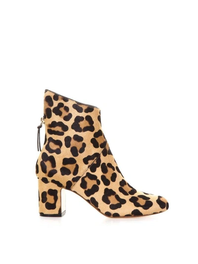 Shop Francesco Russo Leopard Pony Ankle Boots In Spotted