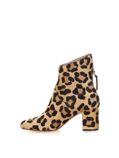 Shop Francesco Russo Leopard Pony Ankle Boots In Spotted