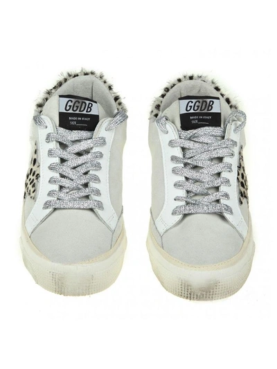 Shop Golden Goose Sneakers May In White Leather