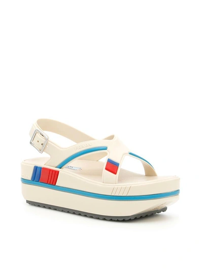 Shop Prada Rubber Sandals In Panna+azzurroceleste