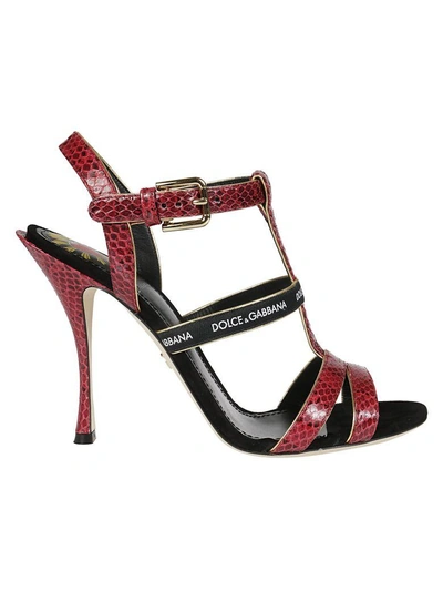 Shop Dolce & Gabbana T-bar Sandals