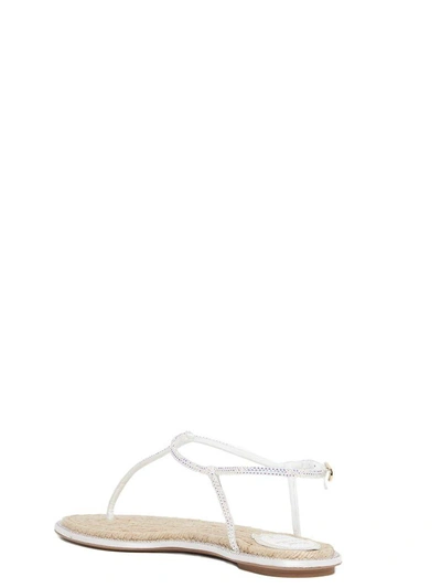 Shop René Caovilla Sandals In White
