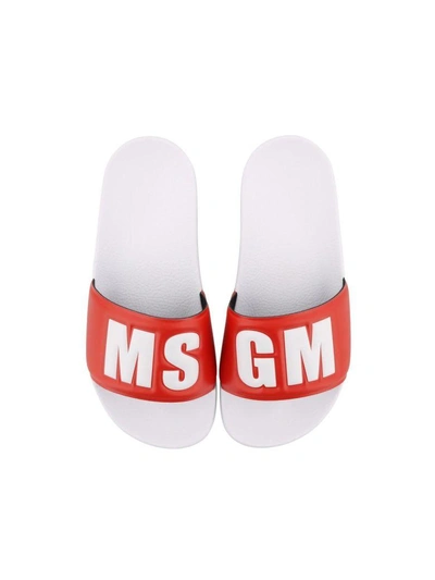 Shop Msgm Sandal In Red