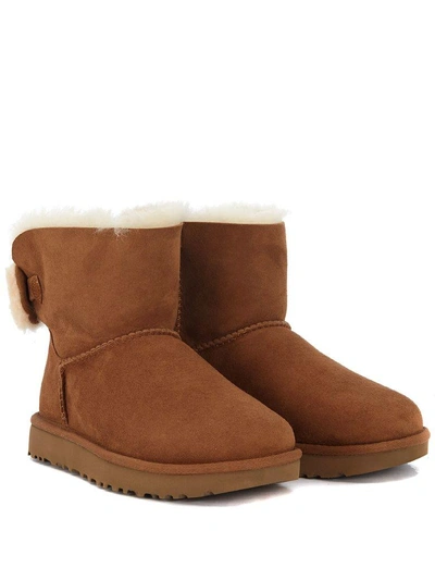 Shop Ugg Arielle Ankle Boots In Brown Leather And Wool Bow In Marrone