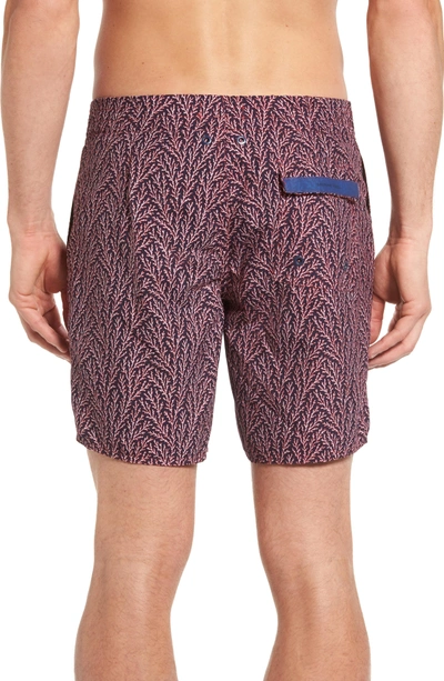 Shop Zachary Prell Amaranth Swim Trunks In Navy