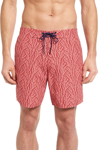 Shop Zachary Prell Amaranth Swim Trunks In Pink