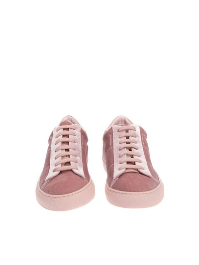 Shop Dondup Sneakers In Pink