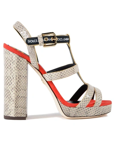 Shop Dolce & Gabbana Ayers+suede Sandal In 8nroccia-rosso