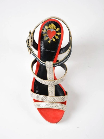 Shop Dolce & Gabbana Ayers+suede Sandal In 8nroccia-rosso