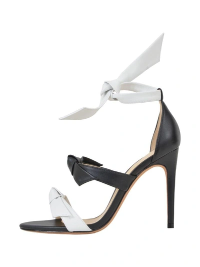 Shop Alexandre Birman Lolita Black And White Sandal In White/black