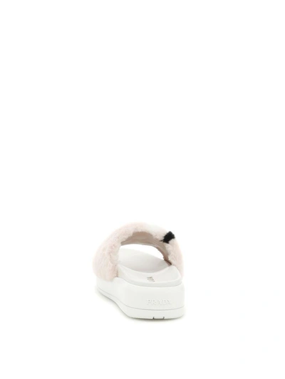 Shop Prada Sheepskin Sandals In Orchidea|rosa
