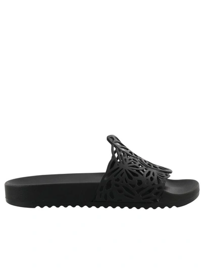 Shop Sophia Webster Lia Sandals In Black