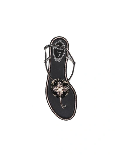 Shop René Caovilla Sandal In Black