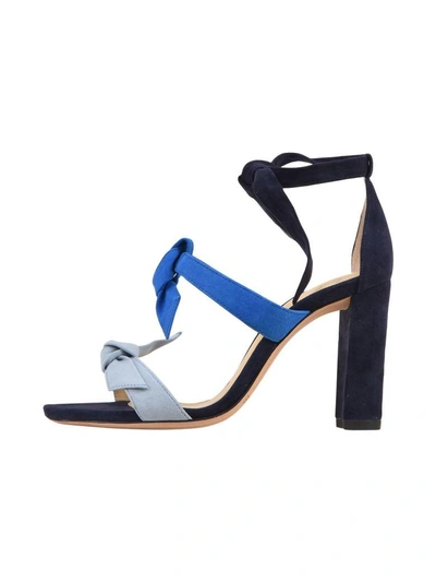 Shop Alexandre Birman Lolita Block Sandal 9 Cm In Blu/azzurro/celeste