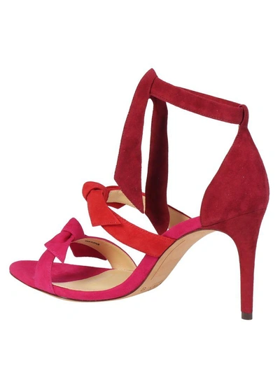 Shop Alexandre Birman Lolita 85 Sandal In Rasberry/flame/rosewood