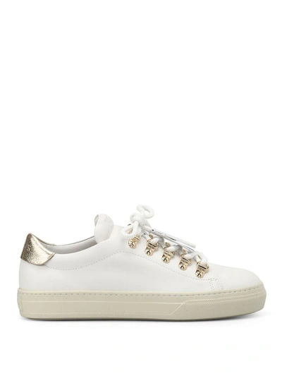 Shop Tod's Sneakers In White/gold