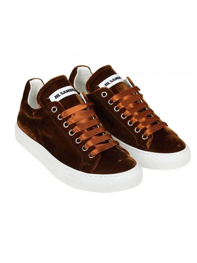 Shop Jil Sander Sneakers Brown Velvet