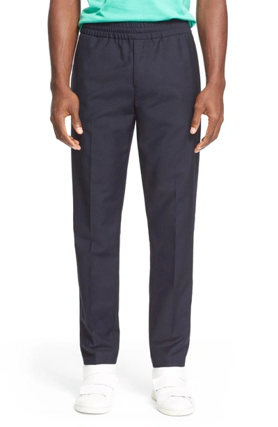 Shop Acne Studios Ryder Wool Pants In Navy