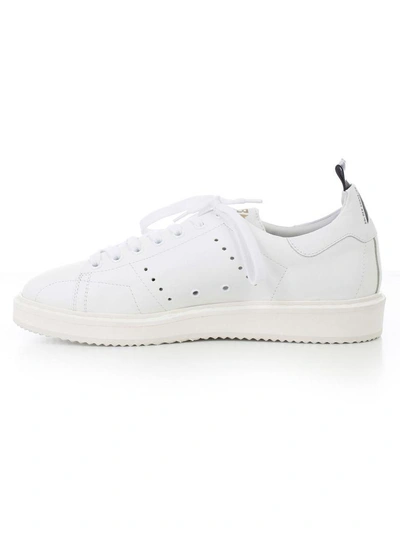 Shop Golden Goose Sneakers In Awhite White Sole