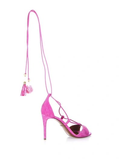 Shop Dolce & Gabbana Suede Sandals In Fuxia