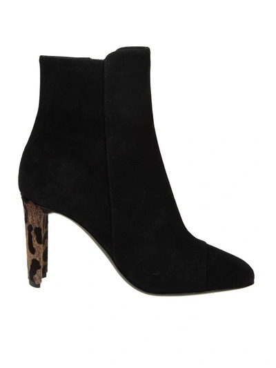 Shop Giuseppe Zanotti Boots  In Black Suede Heels With Pony