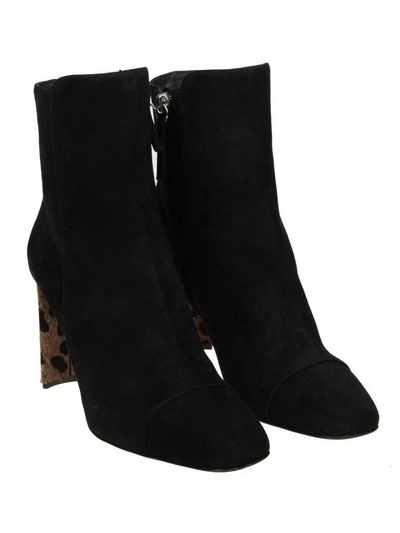 Shop Giuseppe Zanotti Boots  In Black Suede Heels With Pony