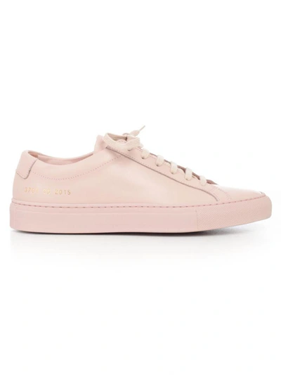 Shop Common Projects Sneakers In Pink & Purple