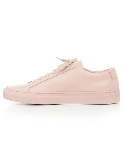 Shop Common Projects Sneakers In Pink & Purple