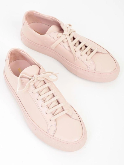 Shop Common Projects Sneakers In Pink & Purple