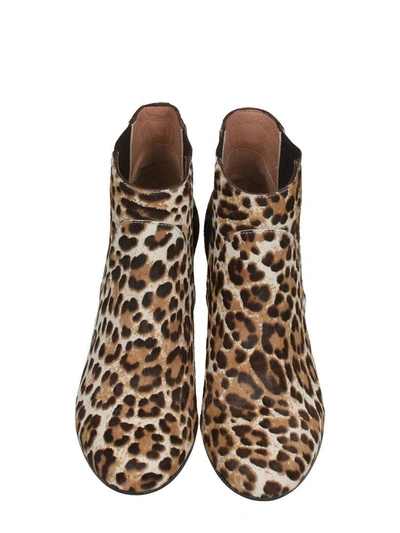 Shop Golden Goose Dana Ankle Boots In Animalier