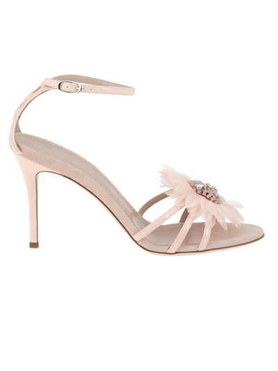 Shop Giuseppe Zanotti Leather Sandal In Skin