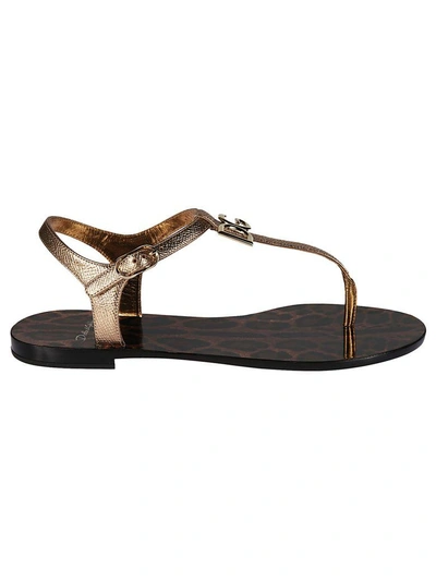 Shop Dolce & Gabbana Dauphine Flat Sandals In Gold