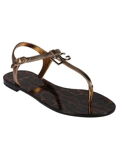 Shop Dolce & Gabbana Dauphine Flat Sandals In Gold