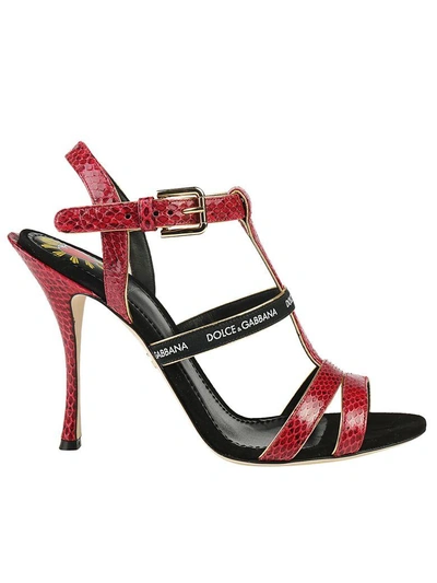 Shop Dolce & Gabbana Sandals In Rubino-nero