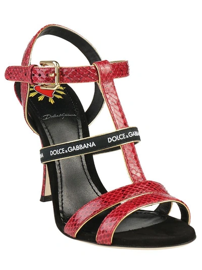 Shop Dolce & Gabbana Sandals In Rubino-nero