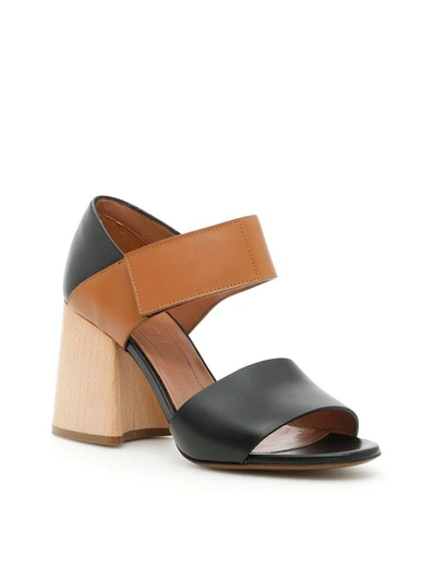 Shop Marni Sandals In Black-marron-ambermarrone