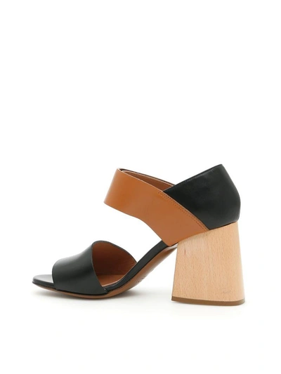 Shop Marni Sandals In Black-marron-ambermarrone