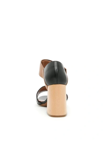 Shop Marni Sandals In Black-marron-ambermarrone