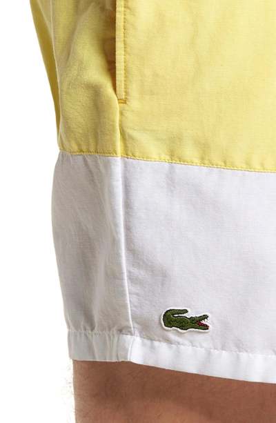 Shop Lacoste Colorblock Swim Trunks In Solstice Yellow/ Yellow-white