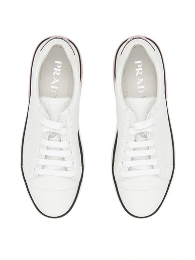 Shop Prada Soft Calfskin Sneakers In Bianco + Rosabianco