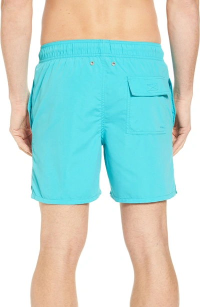 Shop Tom & Teddy Solid Swim Trunks In Pool Blue