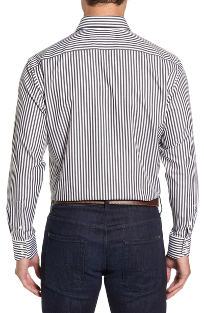 Shop Thomas Dean Regular Fit Stripe Herringbone Sport Shirt In Black