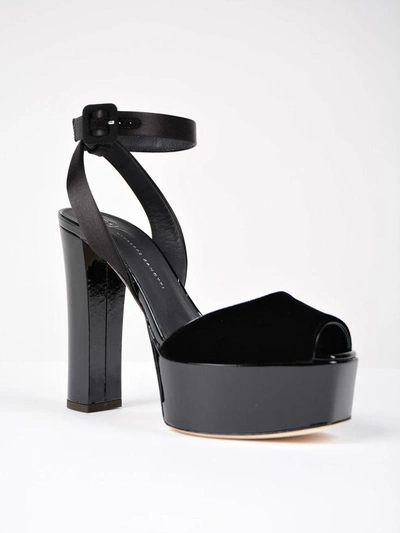 Shop Giuseppe Zanotti Sandal In Black