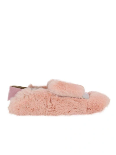 Shop Sergio Rossi Loafers Shoes Women  In Pink