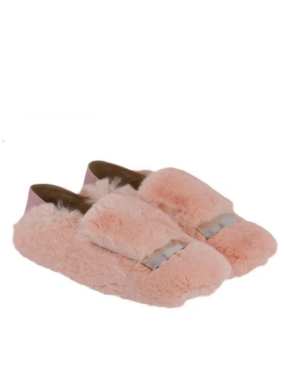 Shop Sergio Rossi Loafers Shoes Women  In Pink