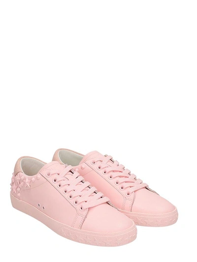 Shop Ash Dazen Pink Sneakers In Rose-pink